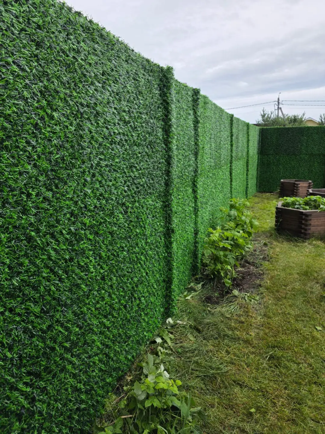 Вечнозеленый забор Grass Fence 37м фото 1 в Казахстане